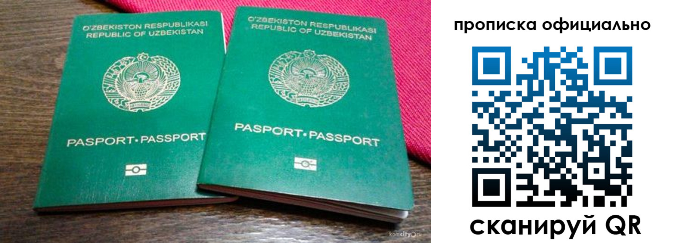 прописка для школы в Камышине